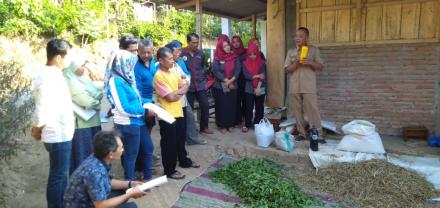 Mahasiswa KKN IAIN Tulungagung Bersama Pemdes Pringapus dan BPP Kecamatan Dongko Memanfaatkan Kotora